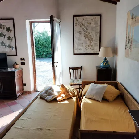 Apartment Fontemaggio Colle di Val d'Elsa
